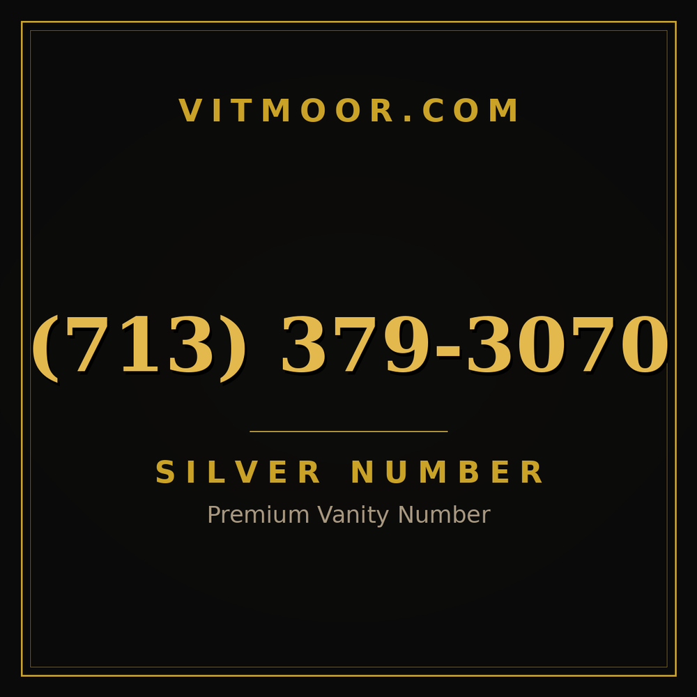 713 379-3070