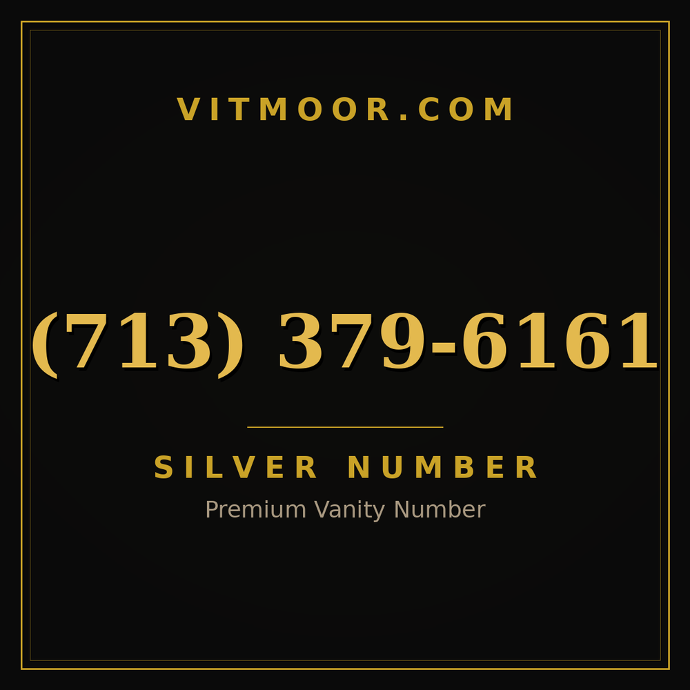 713 379-6161