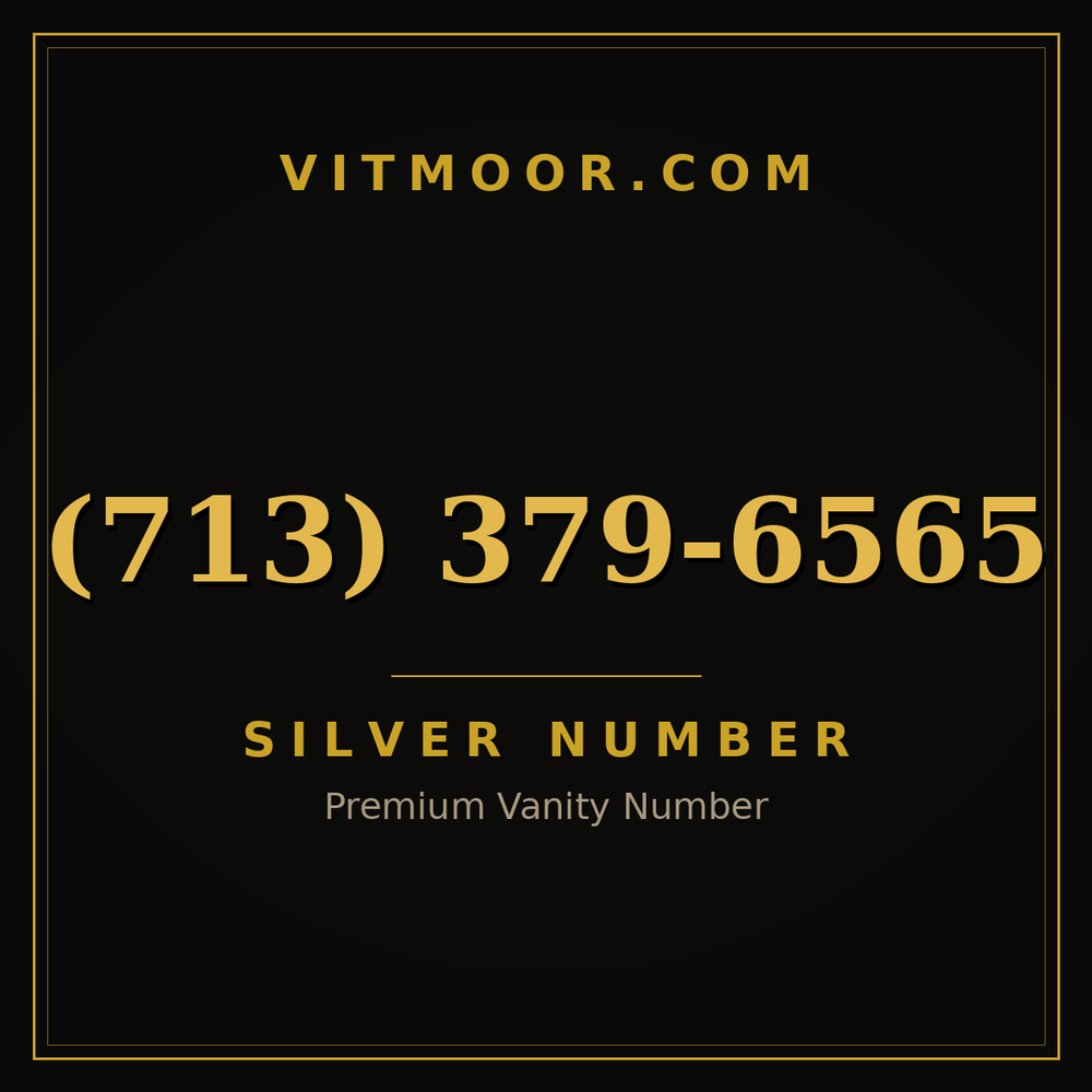 713 379-6565