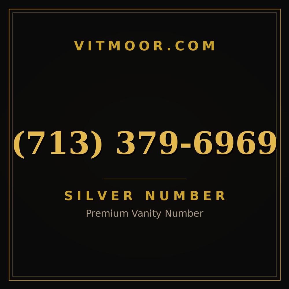 713 379-6969