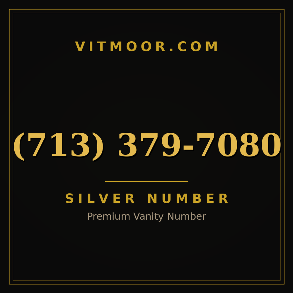 713 379-7080