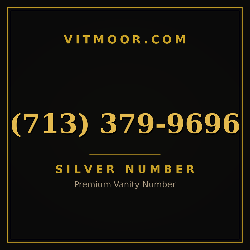 713 379-9696