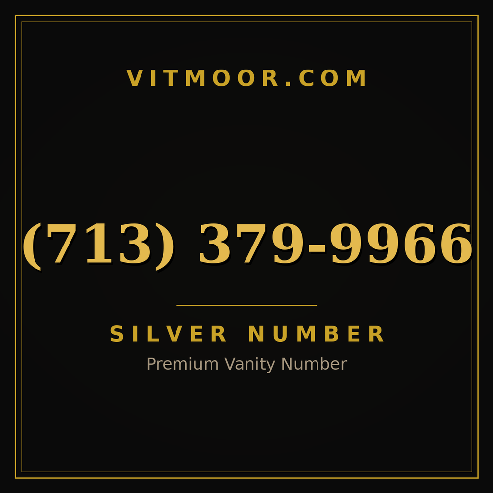 713 379-9966
