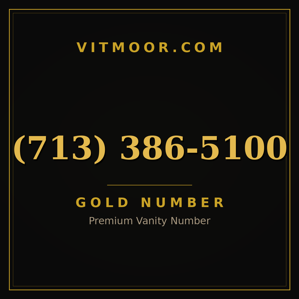 713 386-5100