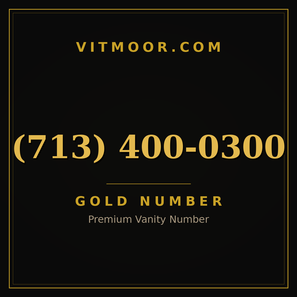 713 400-0300