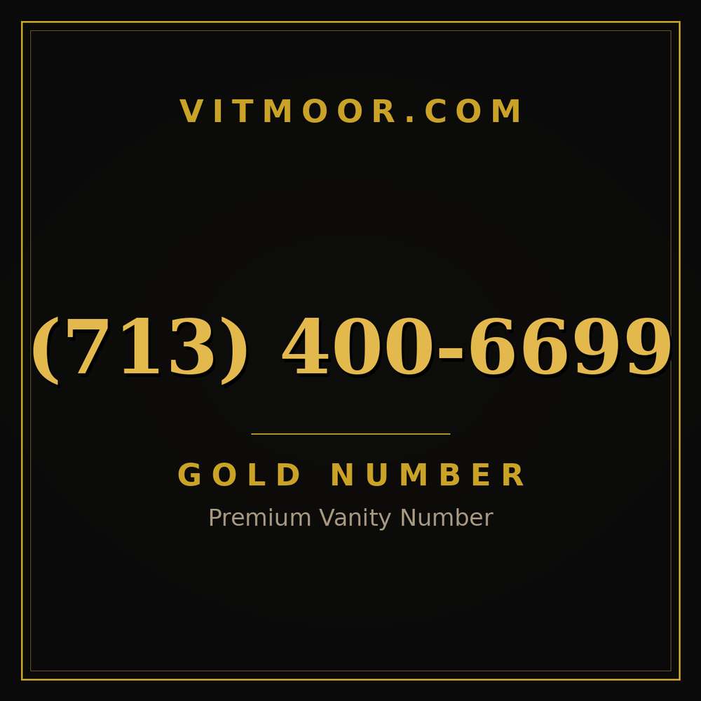 713 400-6699
