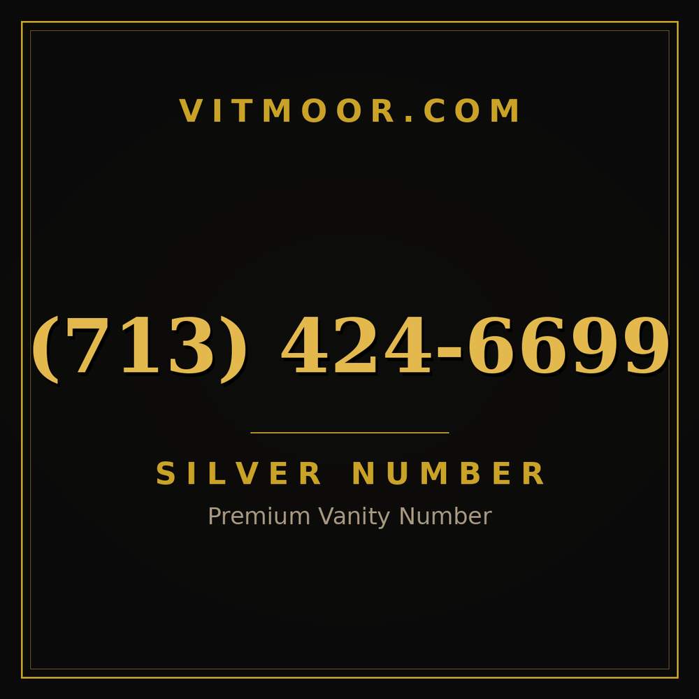 713 424-6699