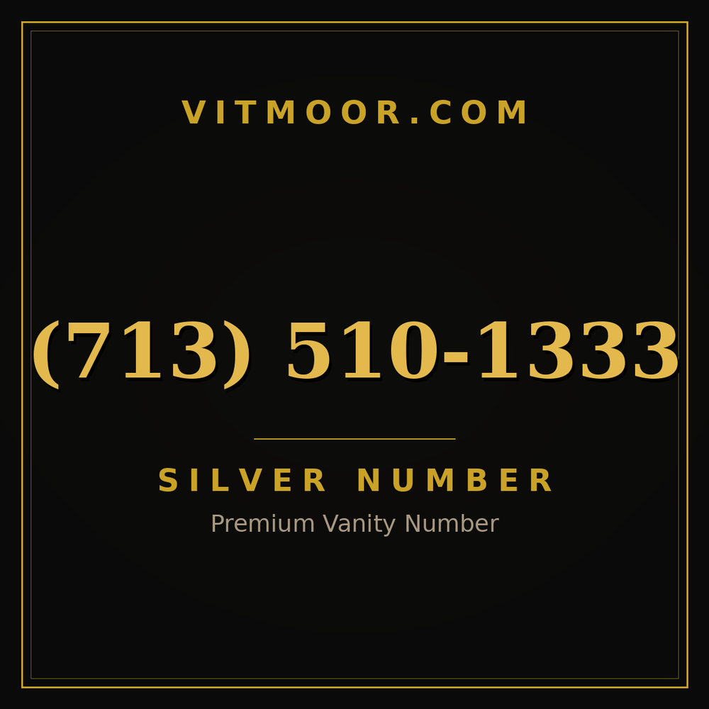 713 510-1333