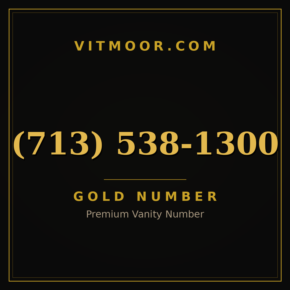 713 538-1300