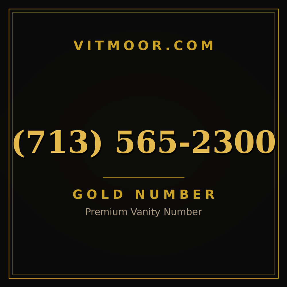 713 565-2300
