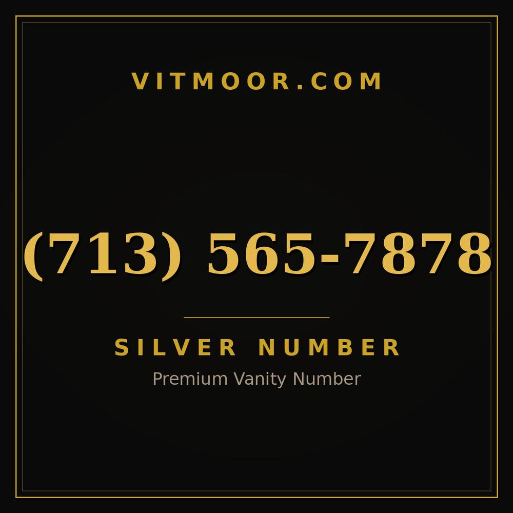713 565-7878