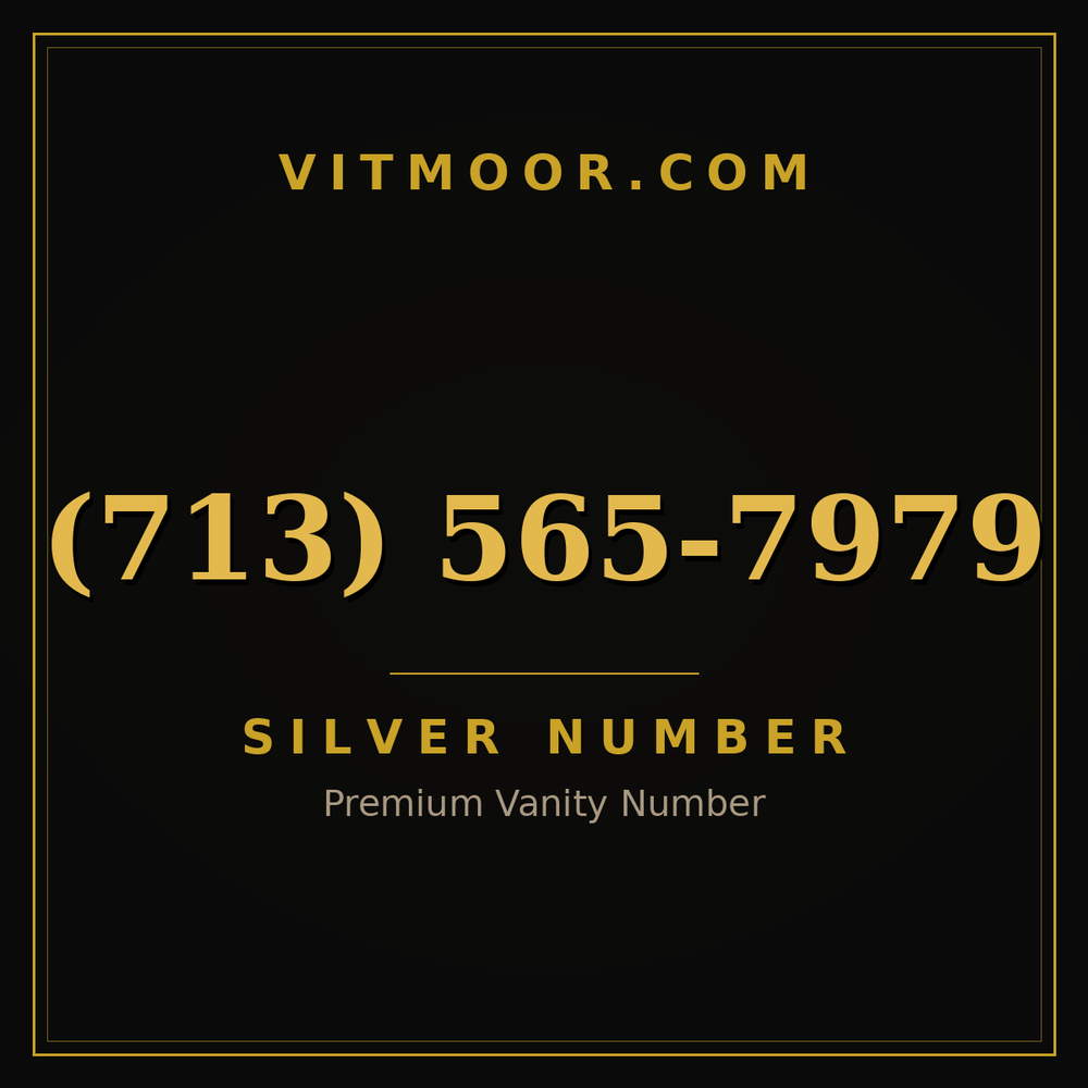 713 565-7979