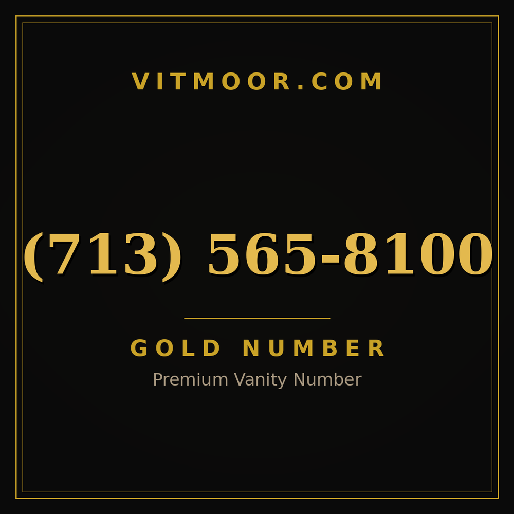713 565-8100