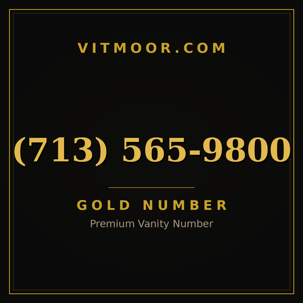 713 565-9800
