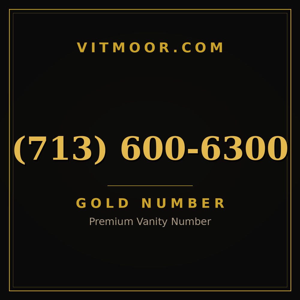 713 600-6300