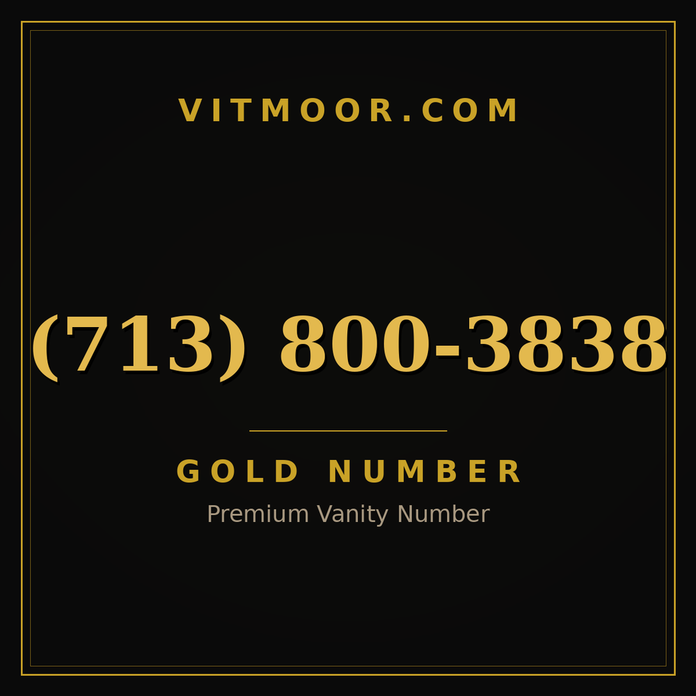 713 800-3838
