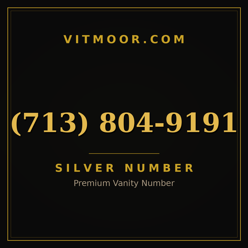 713 804-9191