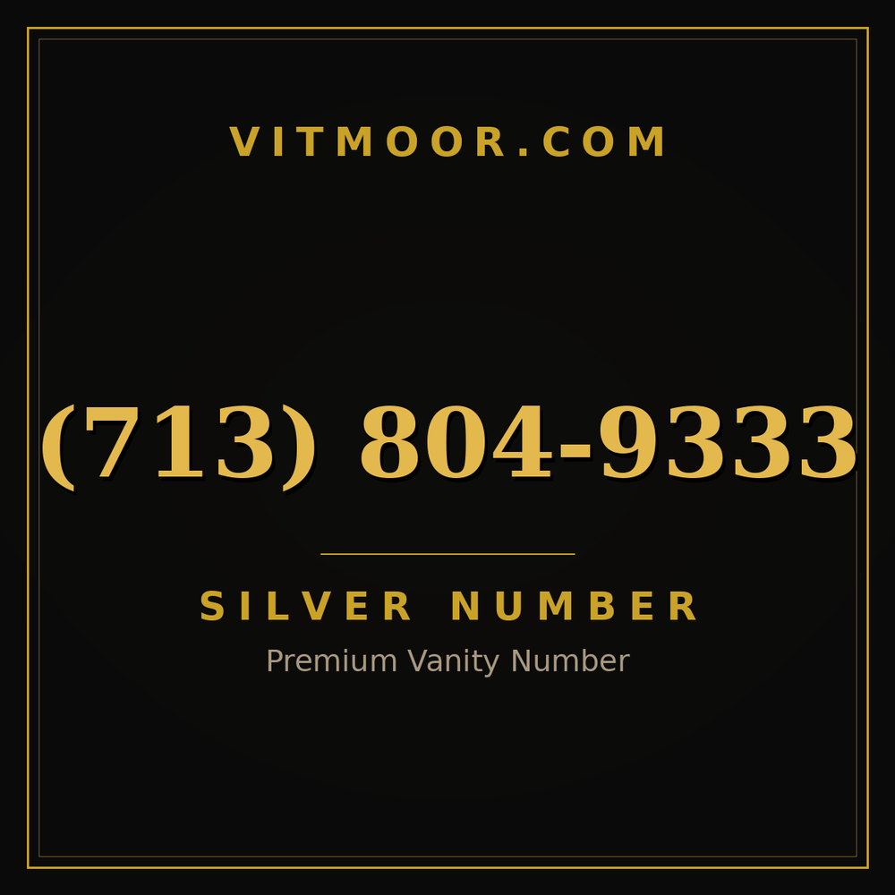 713 804-9333