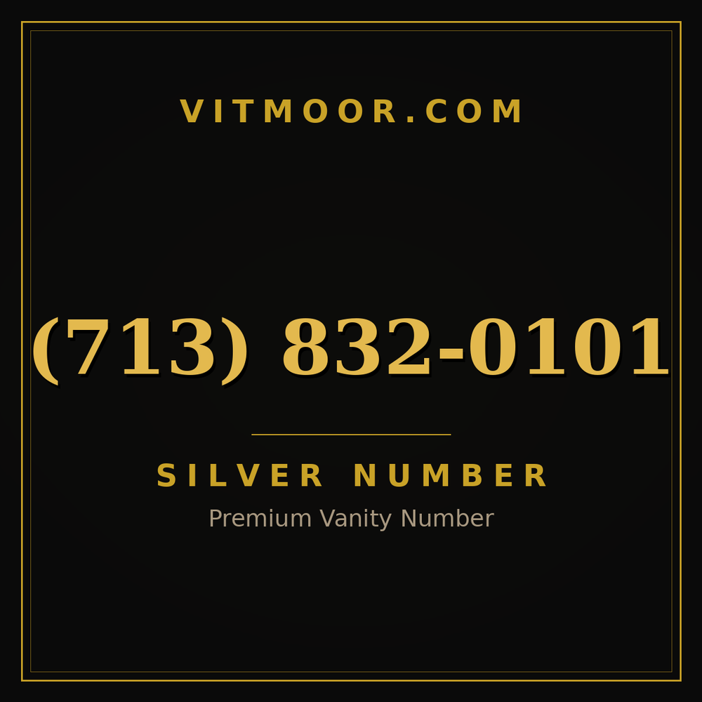 713 832-0101
