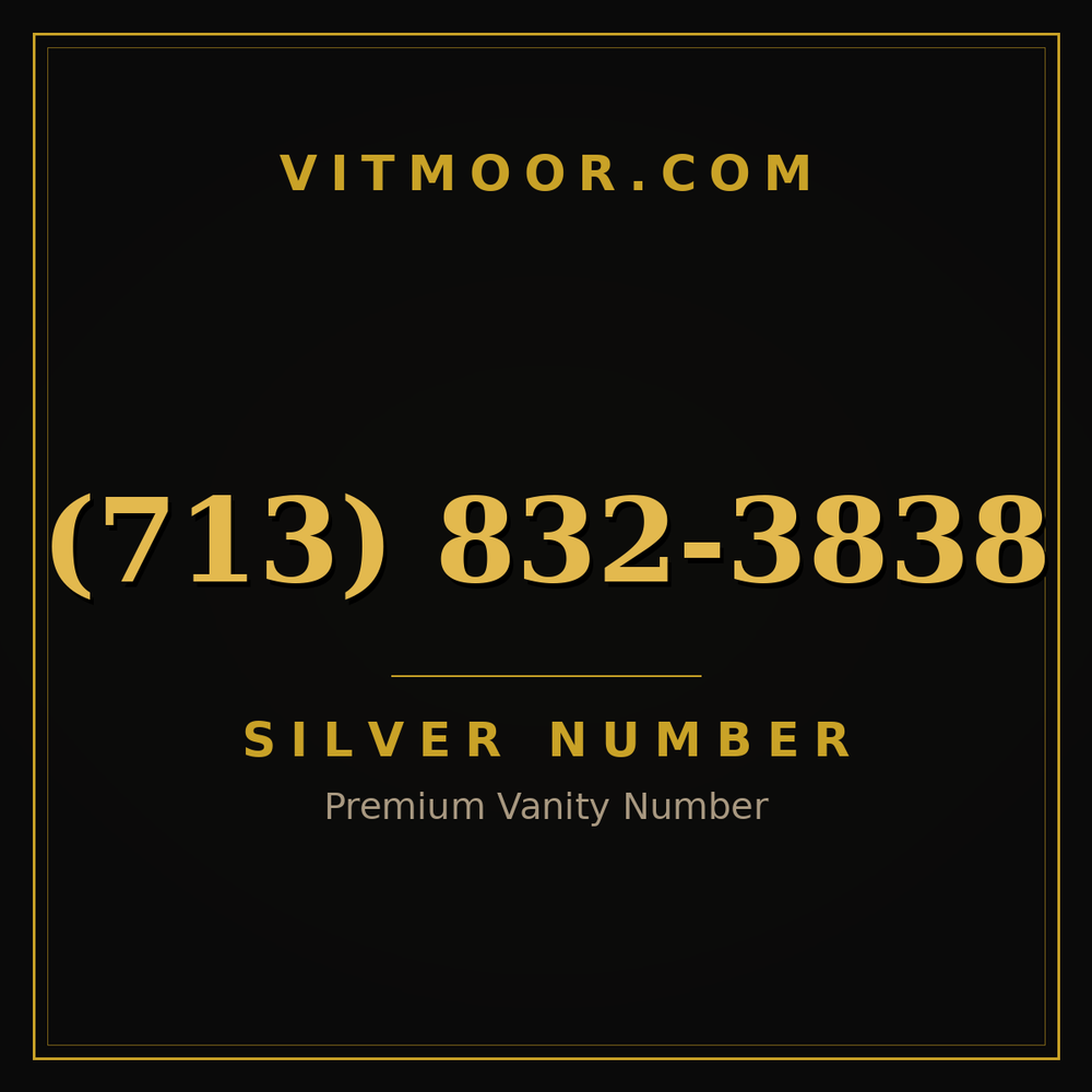 713 832-3838
