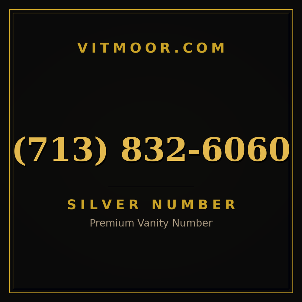 713 832-6060