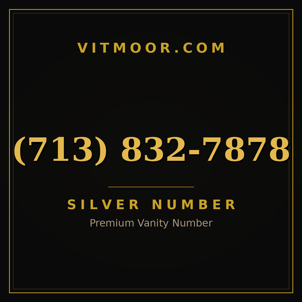 713 832-7878