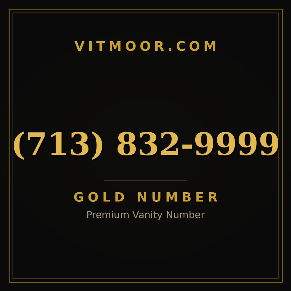 713 832-9999