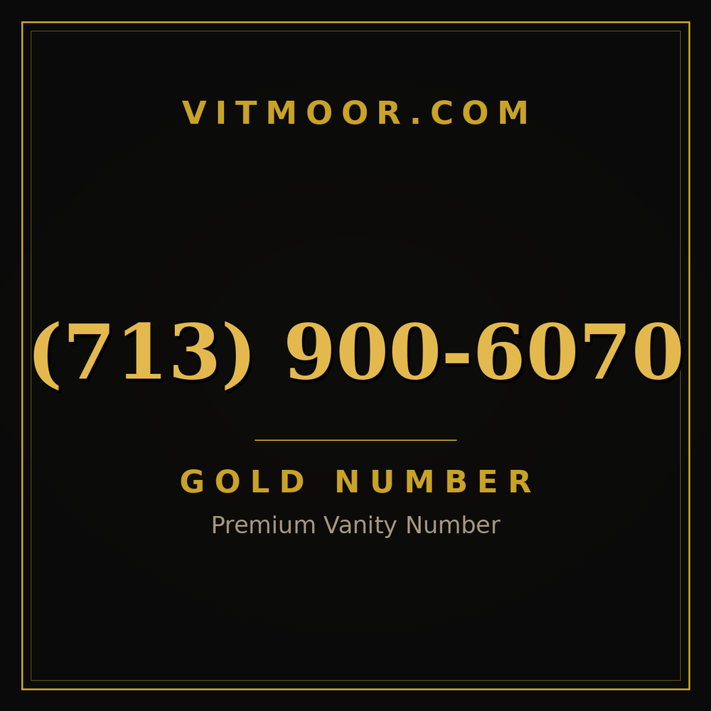 713 900-6070
