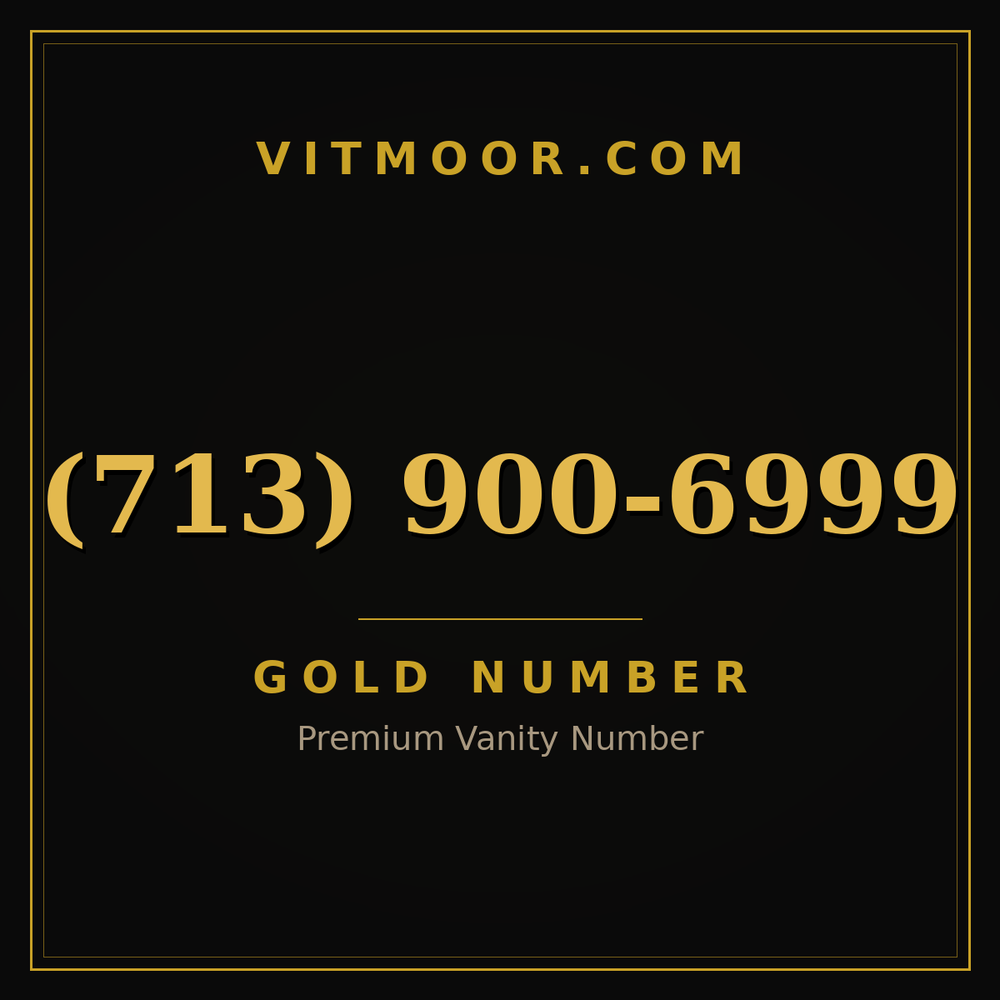713 900-6999