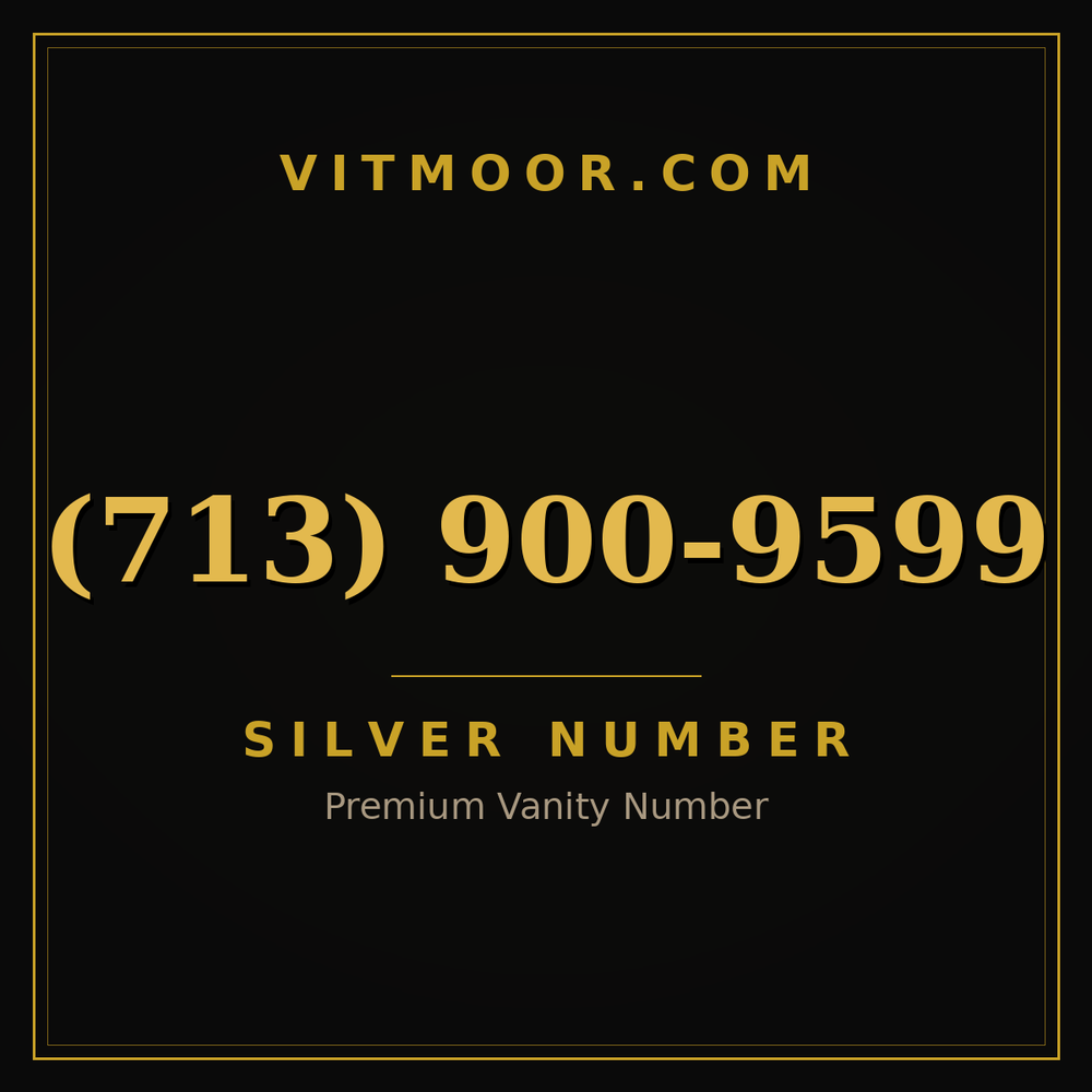 713 900-9599