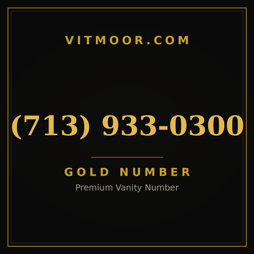 713 933-0300