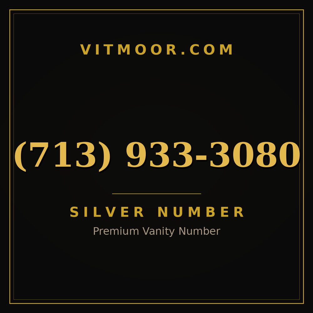 713 933-3080