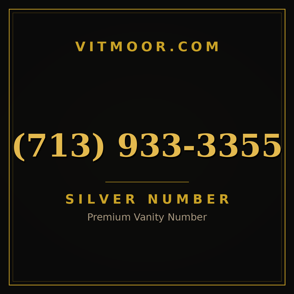 713 933-3355
