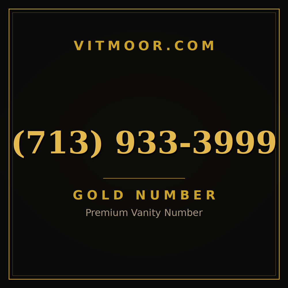 713 933-3999