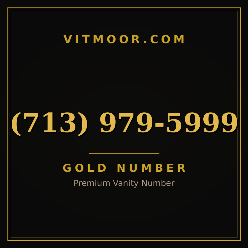 713 979-5999