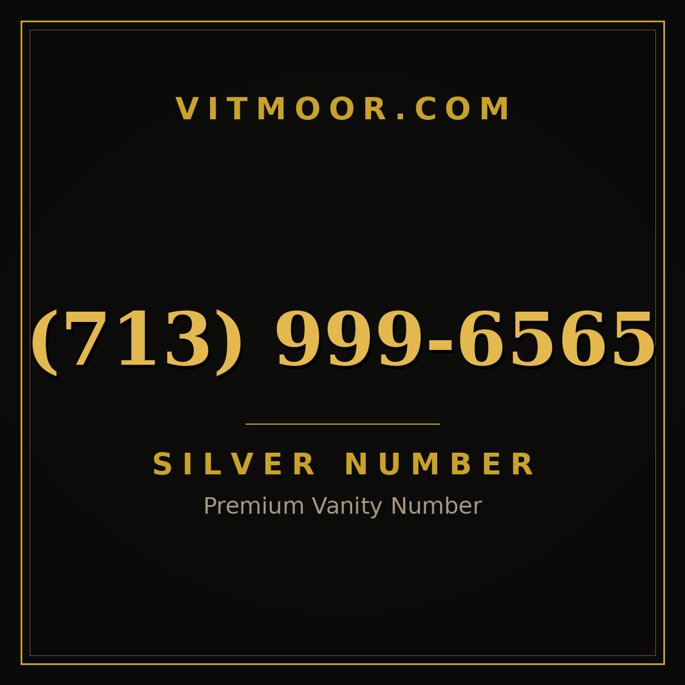 713 999-6565