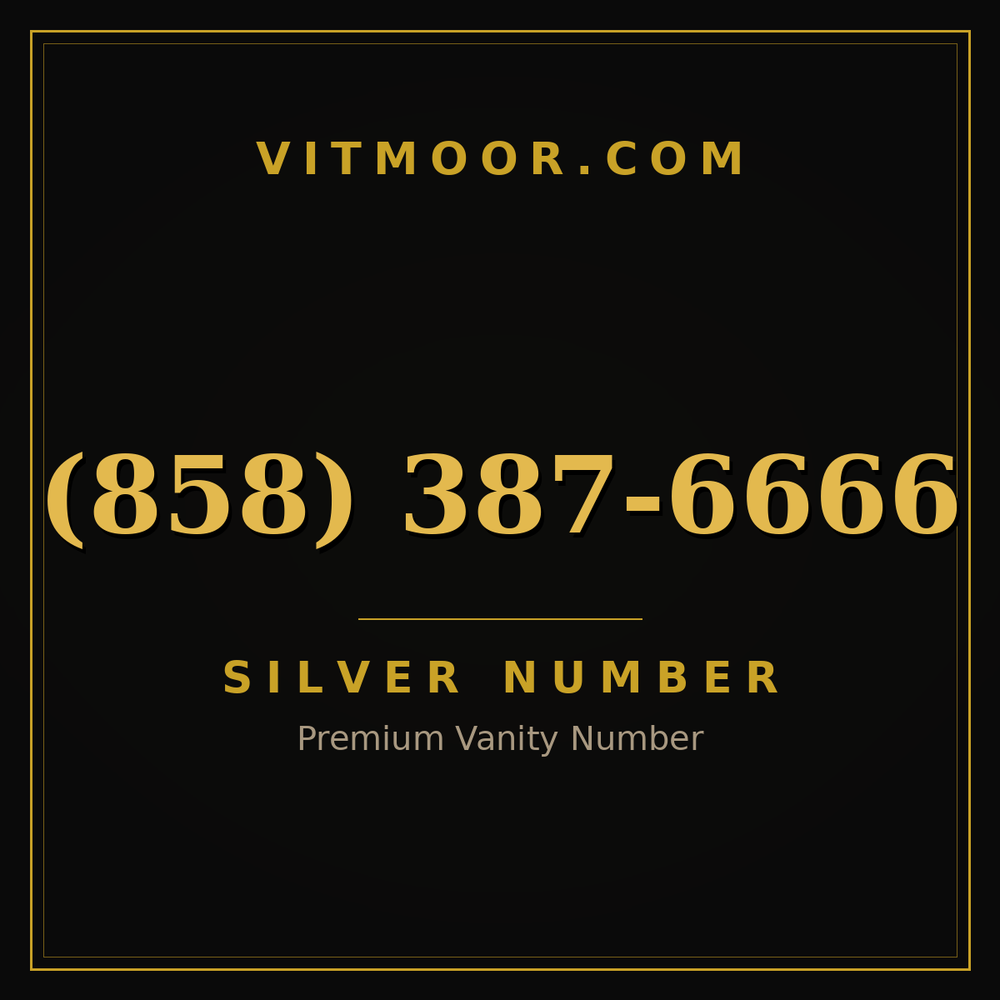 858 387-6666