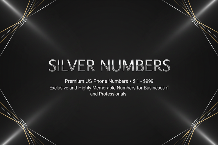Silver Numbers Banner