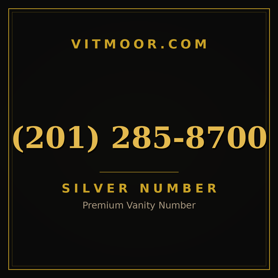 VITMOOR Silver premium number (201) 285-8700