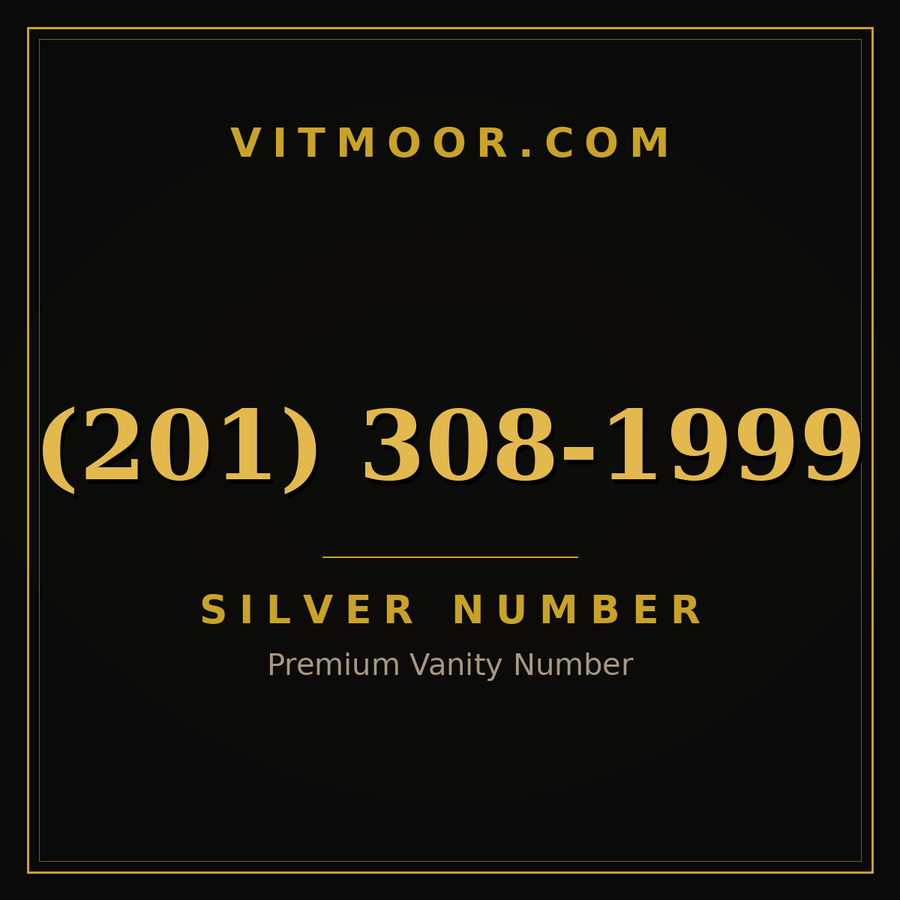 VITMOOR Silver premium number (201) 308-1999