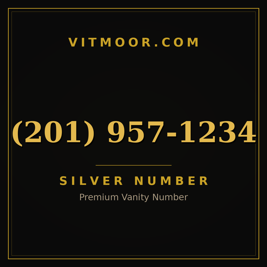 VITMOOR Silver premium number (201) 957-1234