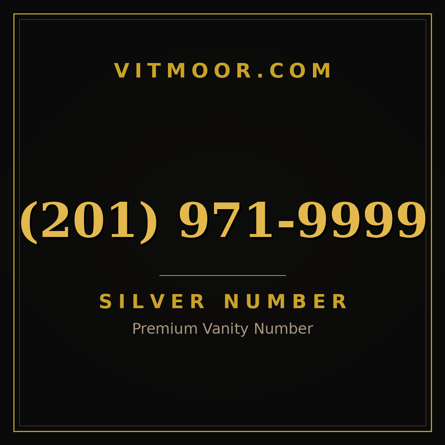 VITMOOR Silver premium number (201) 971-9999