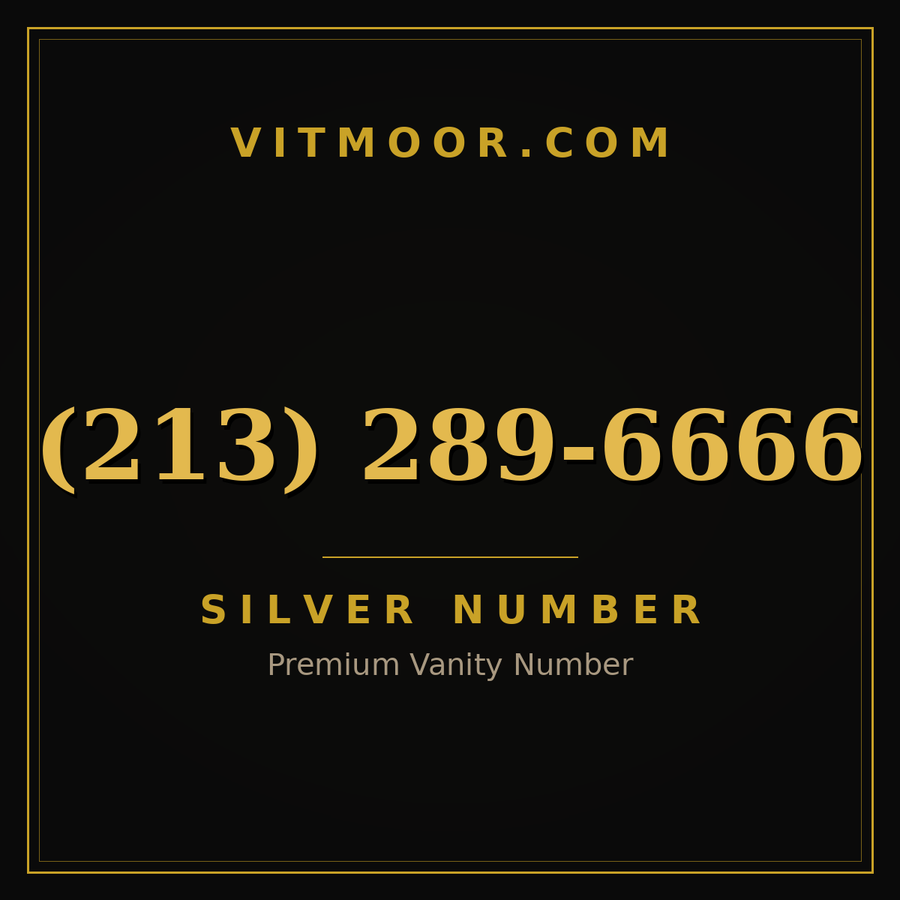 VITMOOR Silver premium number (213) 289-6666