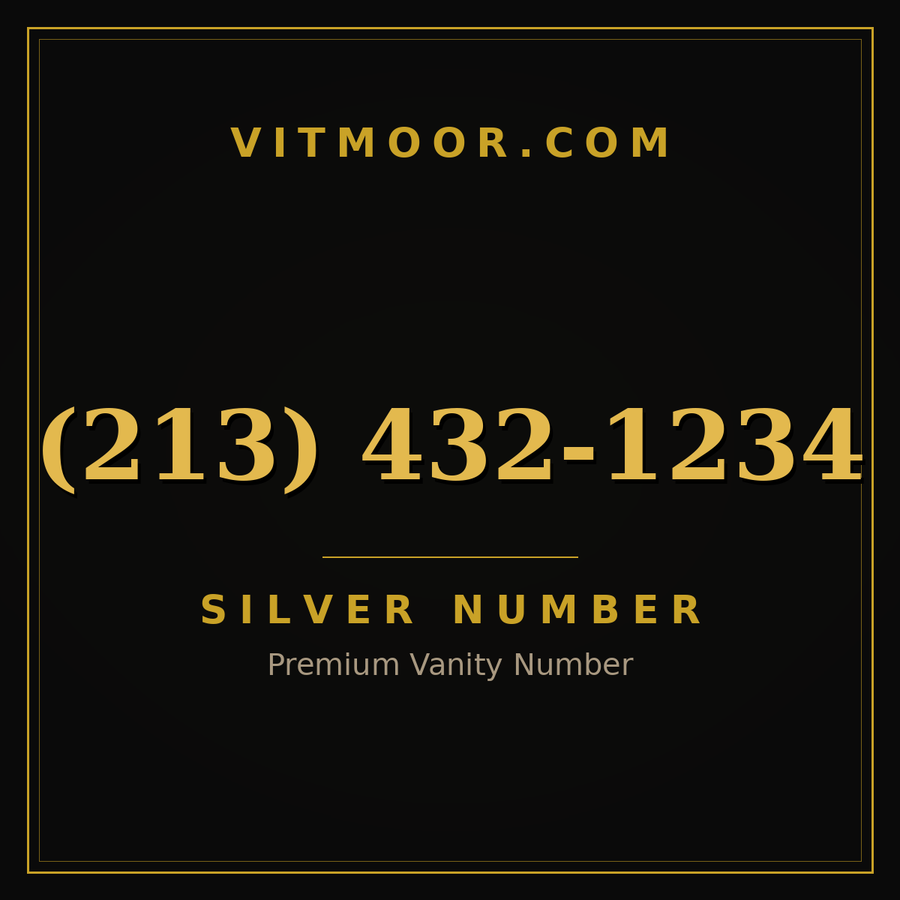 VITMOOR Silver premium number (213) 432-1234