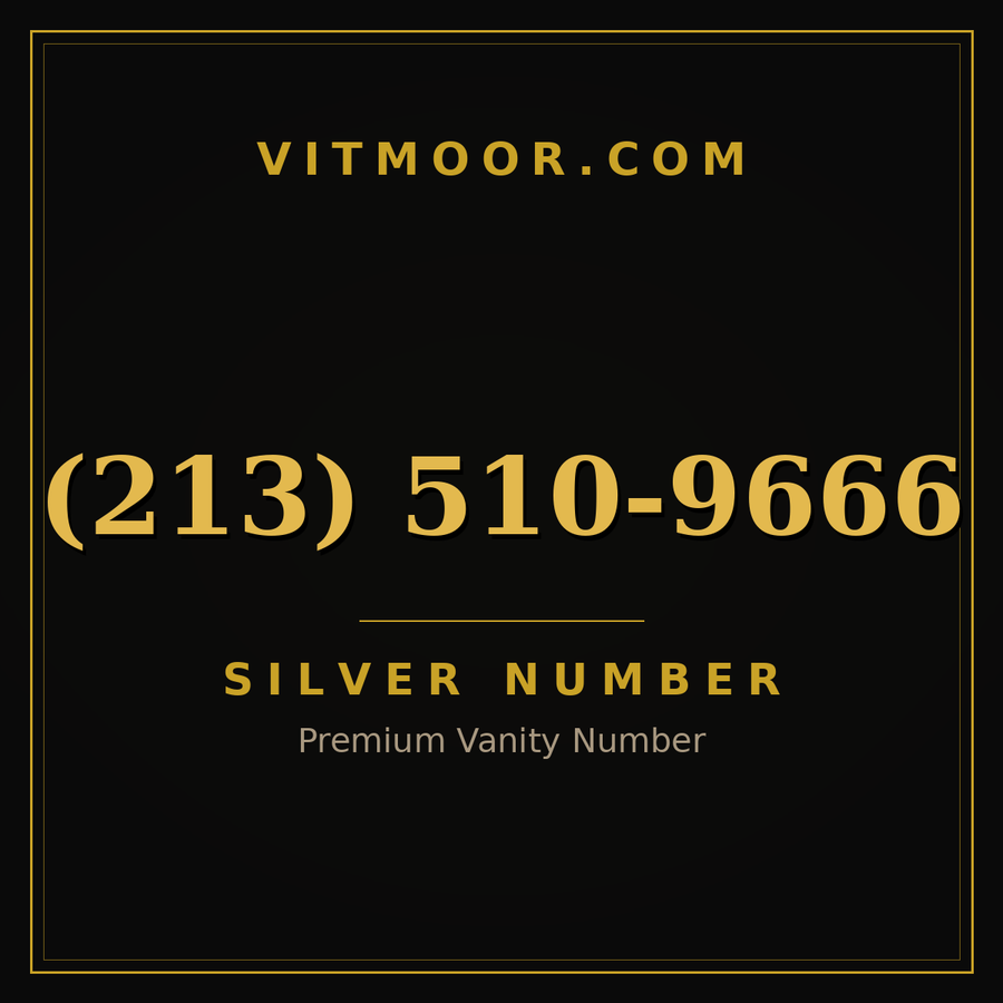 VITMOOR Silver premium number (213) 510-9666