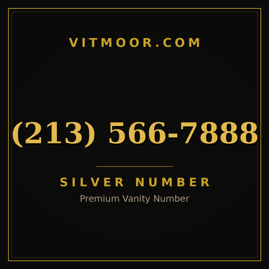 VITMOOR Silver premium number (213) 566-7888