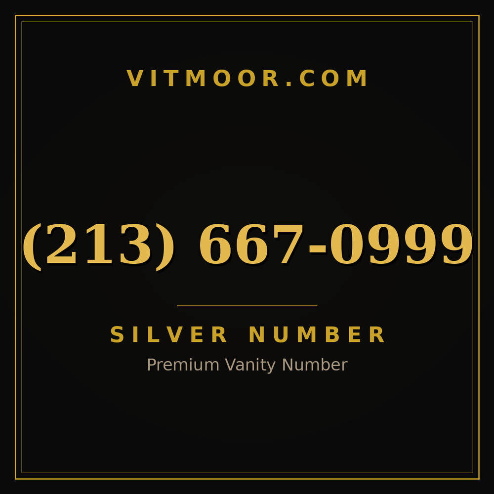 213 667-0999