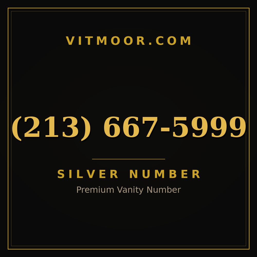 213 667-5999