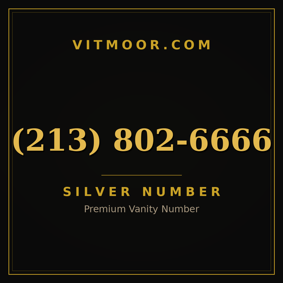 VITMOOR Silver premium number (213) 802-6666