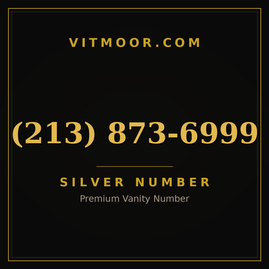 VITMOOR Silver premium number (213) 873-6999